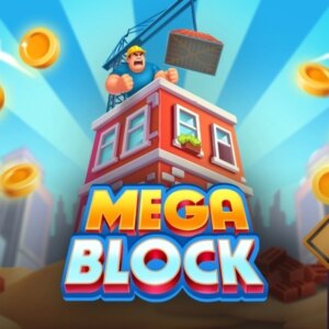 MegaBlock InOut